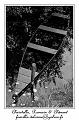 IMG_0453_RD