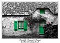 IMG_0470_NB
