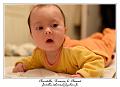 IMG_0507_RD