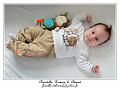 IMG_0522_RD