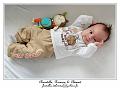 IMG_0524_RD