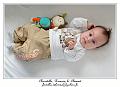 IMG_0527_RD