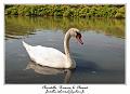 IMG_0700