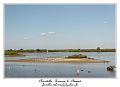 IMG_0716