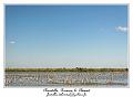 IMG_0717