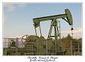 IMG_0751