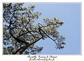 IMG_0631