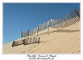 IMG_0649
