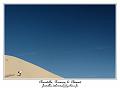 IMG_0651