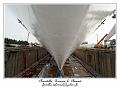 IMG_0787_RD