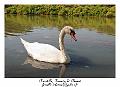 LE_TEICH
