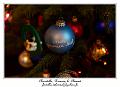 IMG_1136_RD