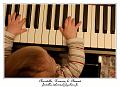IMG_1164_RD