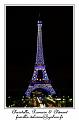 IMG_0239_RD