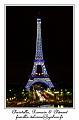 IMG_0240_RD