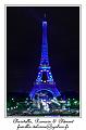 IMG_0248_RD