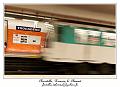 IMG_0268_RD