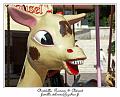 PICT0092