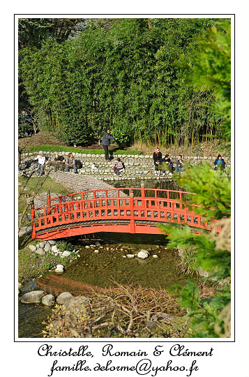 IMG_2473_RD.jpg - On se croirait vraiment au japon