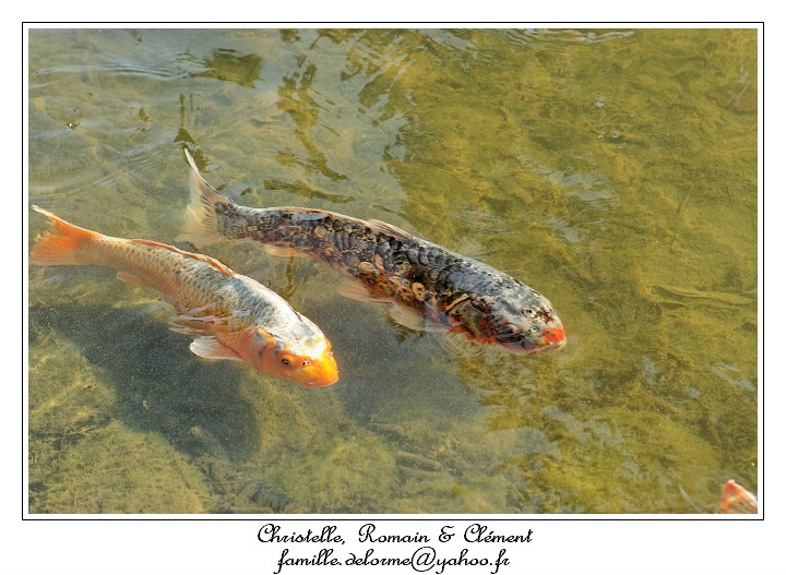 IMG_2540_RD.jpg