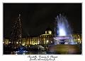 P1010694_RD
