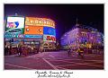 picadilly_RD