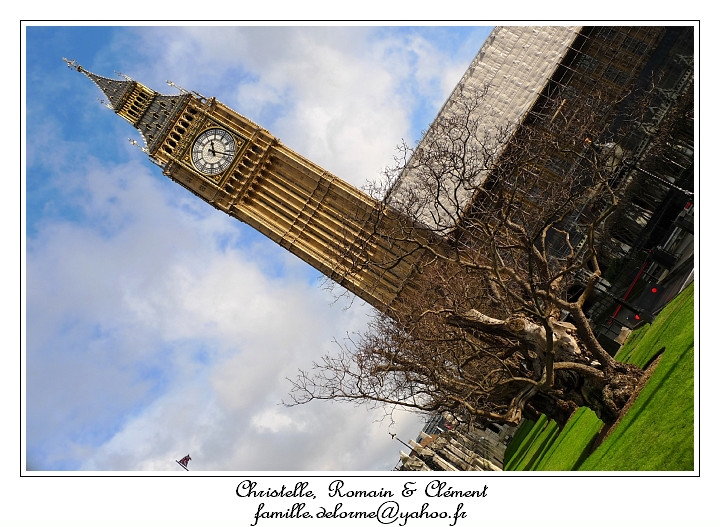 P1020108_RD.jpg