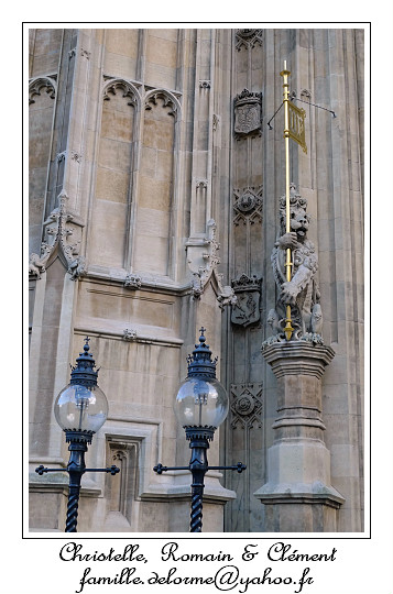 P1020149_RD.jpg