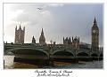 P1020107_RD