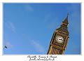 P1020160_RD
