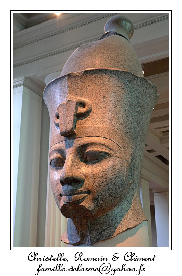 P1010750_RD.jpg - Amnophis III
