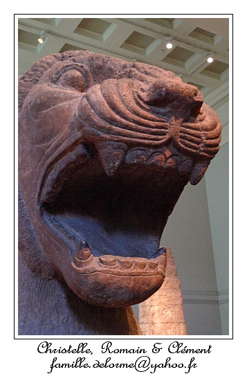P1010756_RD.jpg