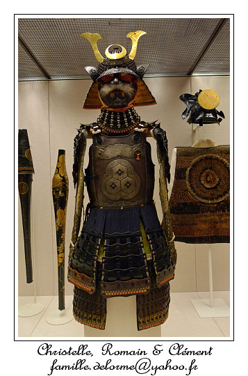 P1010868_RD.jpg