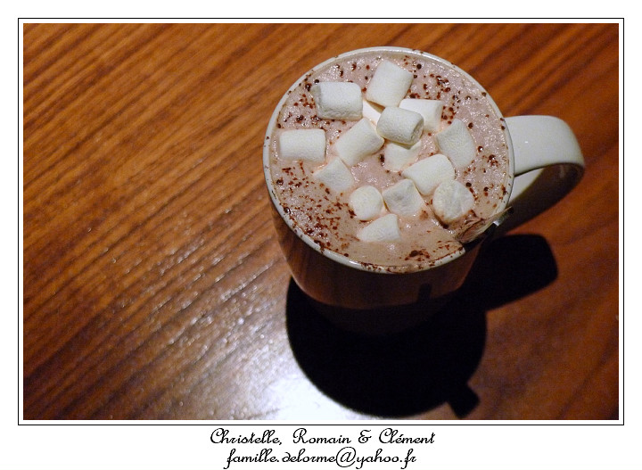 P1010400_RD.jpg - Hot chocolate + cream + marshmallows