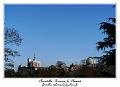 P1010463_RD