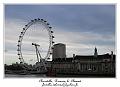P1010553_RD