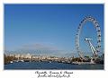 P1020072_RD