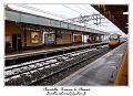 P1020409_RD