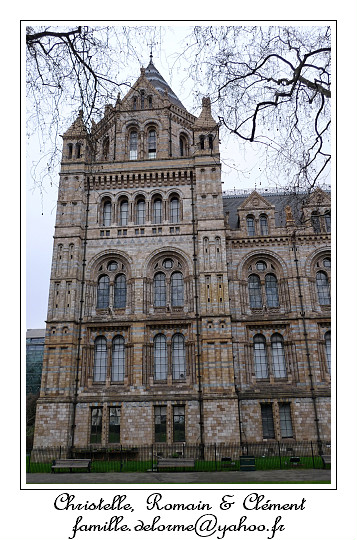 P1010595_RD.jpg