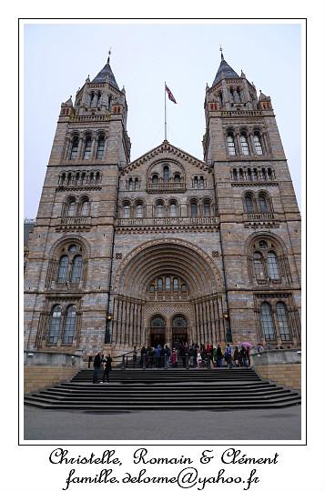 P1010596_RD.jpg