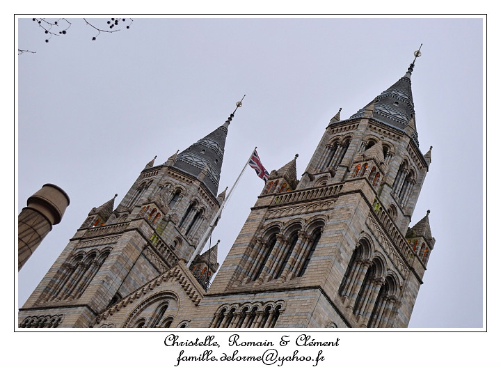 P1010597_RD.jpg