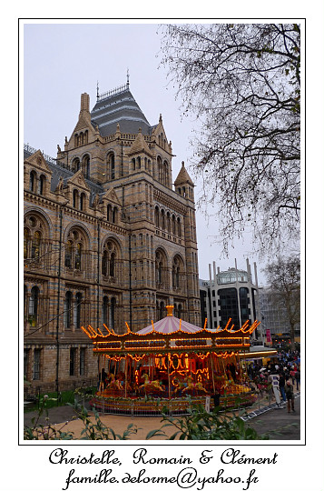 P1010598_RD.jpg