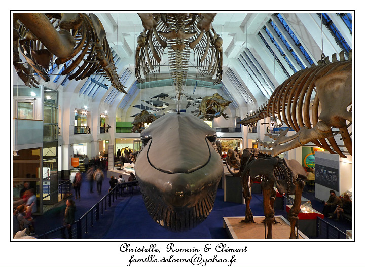 P1010615_RD.jpg