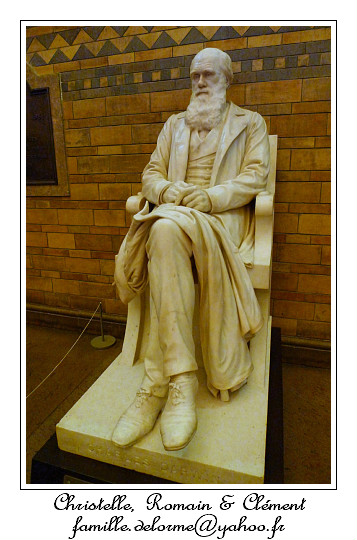 P1010653_RD.jpg - Charles Darwin