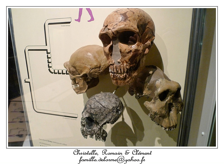 P1010655_RD.jpg