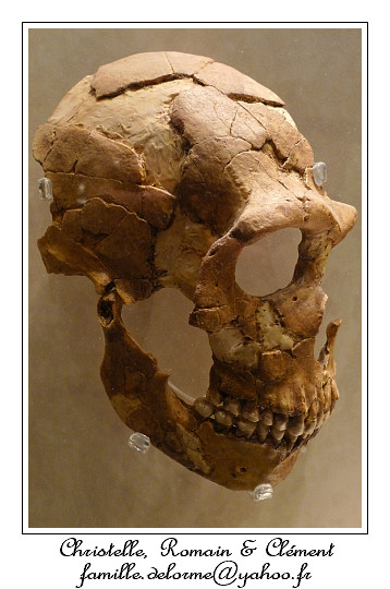P1010673_RD.jpg