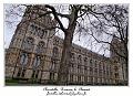 P1010594_RD
