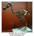 P1010651_RD