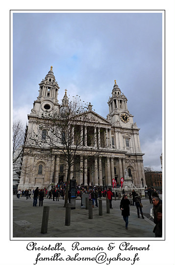 P1020249_RD.jpg