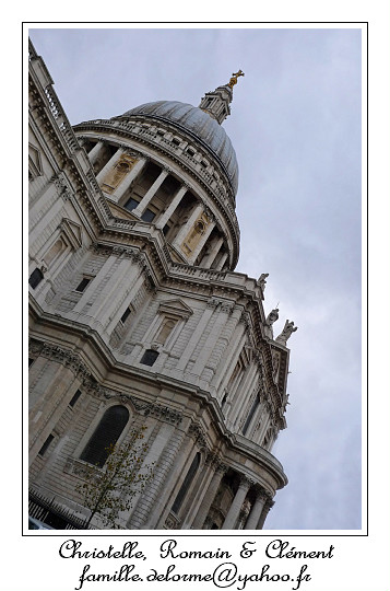 P1020269_RD.jpg